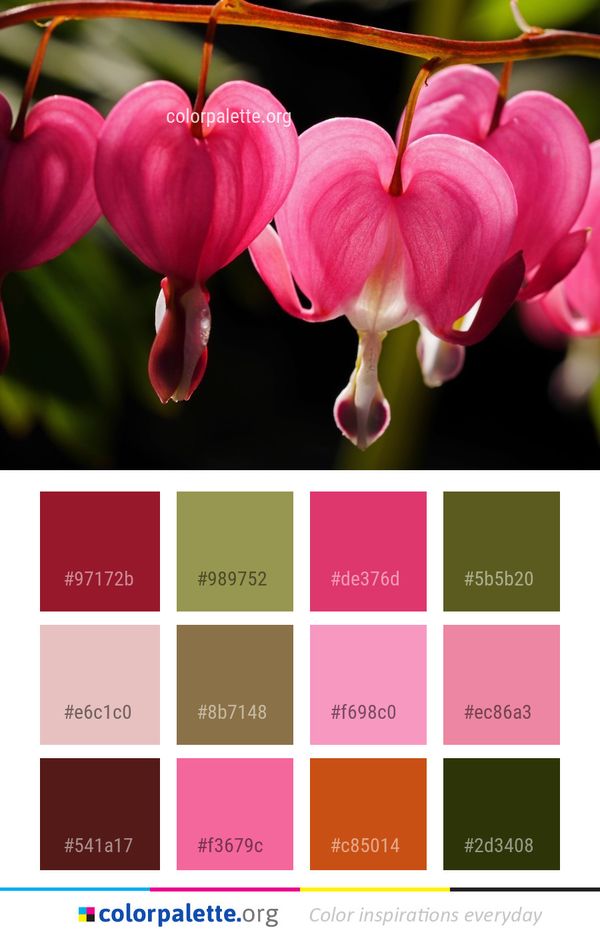 Pink Flora Flower Color Palette