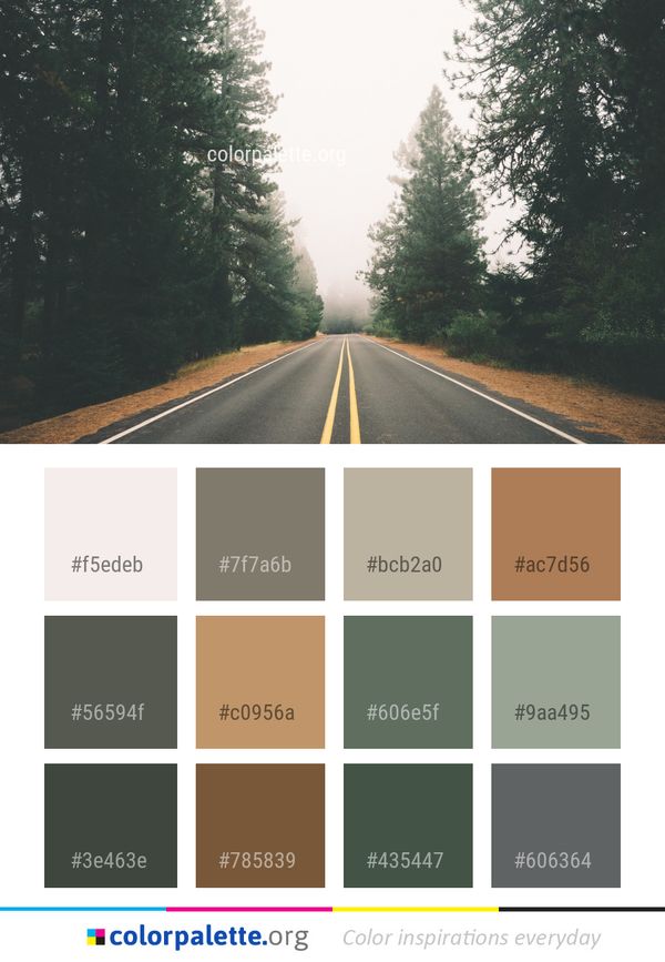 Road Nature Lane Color Palette
