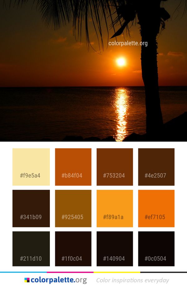 Sunset Body Of Water Sun Color Palette