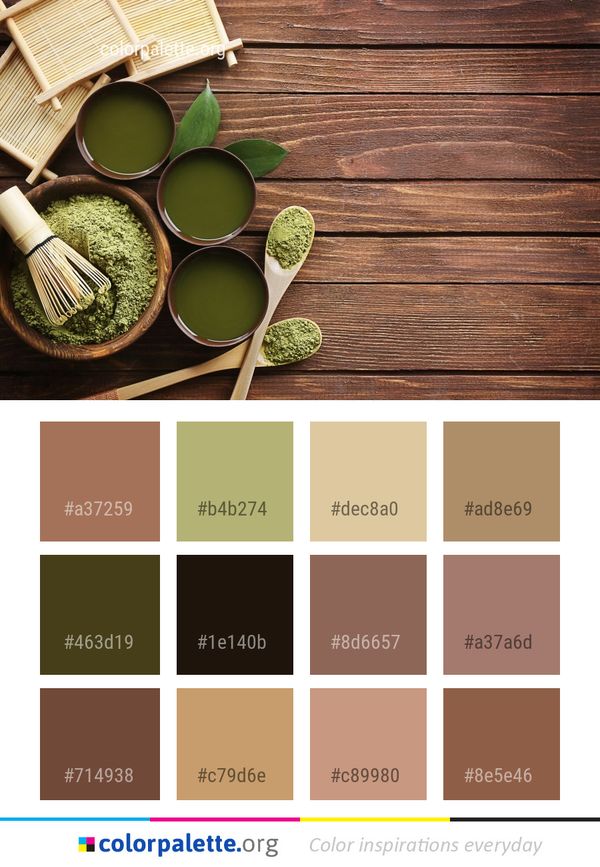 Tea Wood Still Life Photography Color Palette