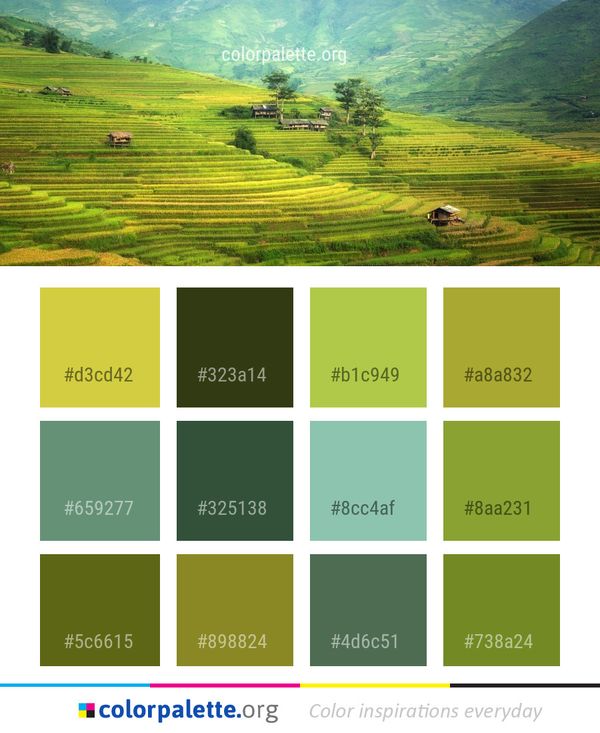 Terrace Highland Hill Station Color Palette