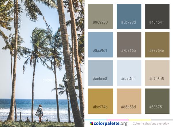 Tree Arecales Palm Color Palette