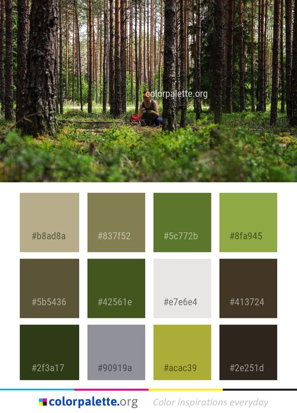 Tree Nature Forest Color Palette