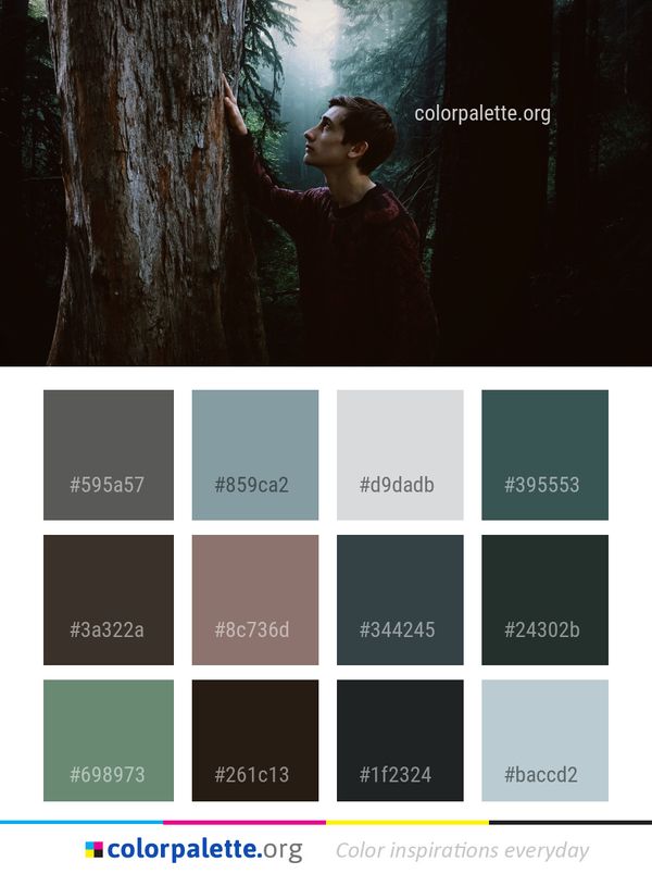 Tree Nature Woody Plant Color Palette