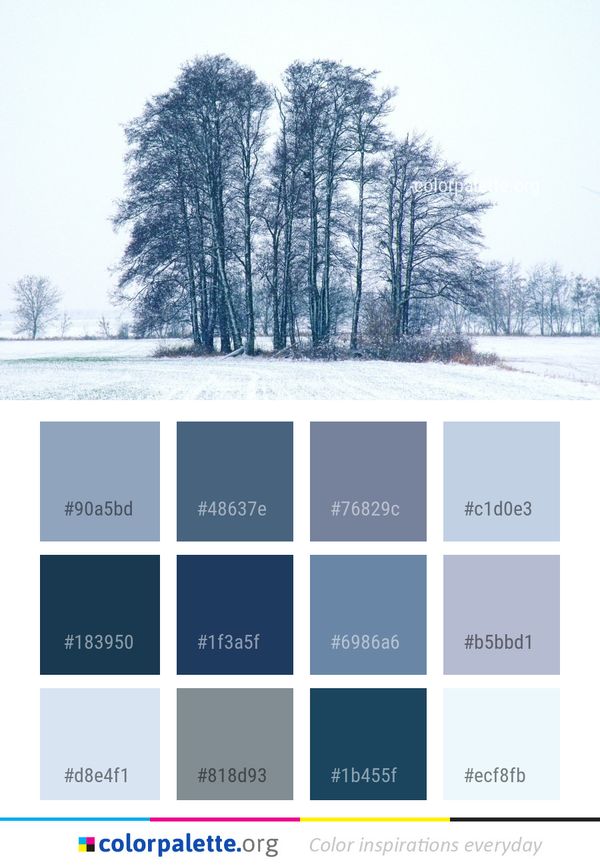 Winter Tree Snow Color Palette