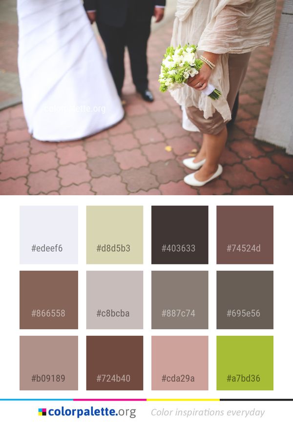 Flower Photograph Pink Color Palette