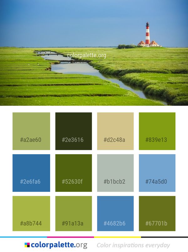 Grassland Field Waterway Color Palette