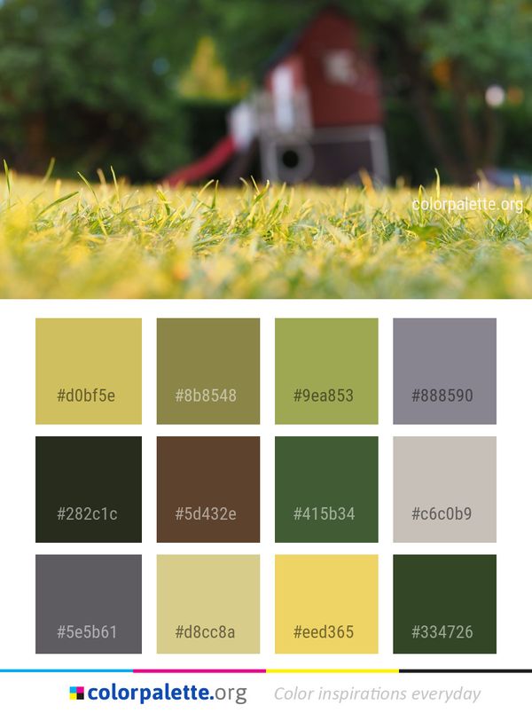 Green Grass Lawn Color Palette