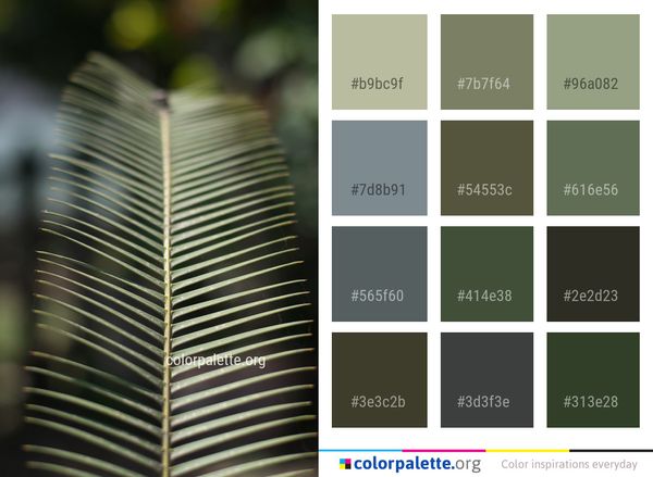 Leaf Close Up Plant Color Palette