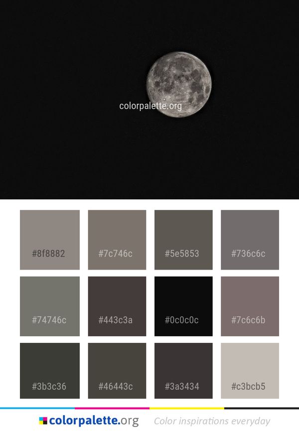 Moon Black Night Color Palette