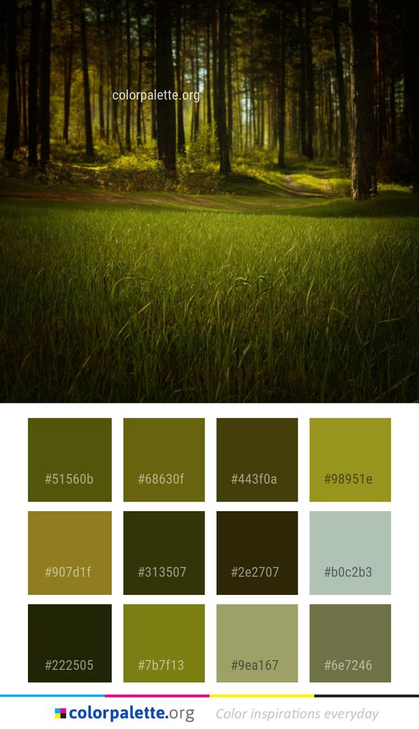 Nature Green Ecosystem Color Palette
