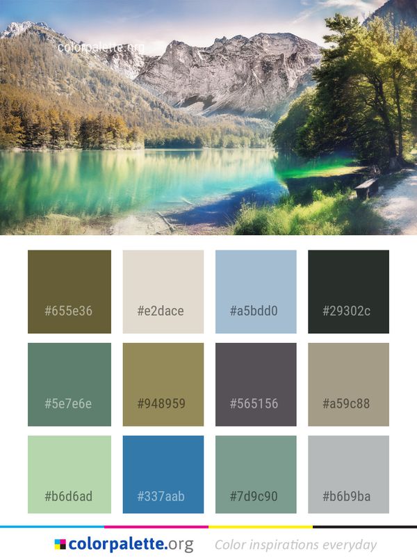Nature Reflection Wilderness Color Palette