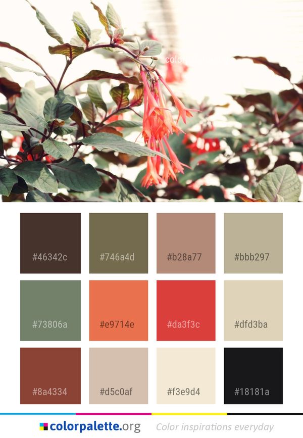 Plant Leaf Flower Color Palette