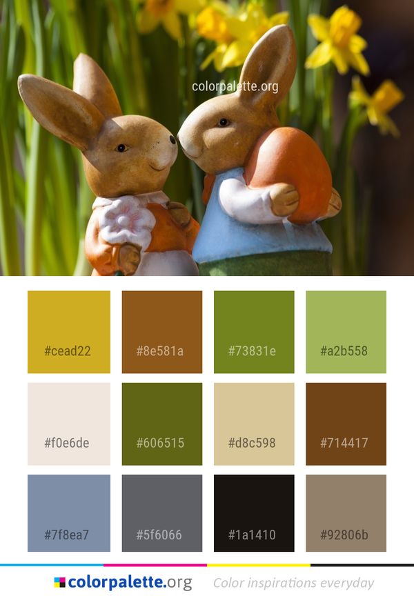Rabbit Rabits And Hares Domestic Color Palette