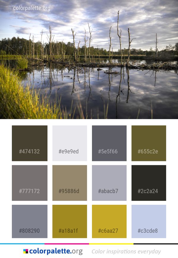 Reflection Water Nature Color Palette