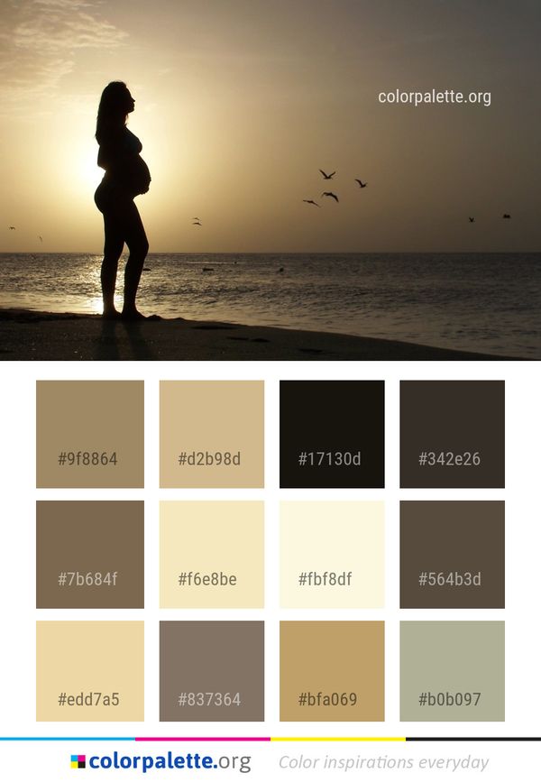 Sea Sky Sun Color Palette