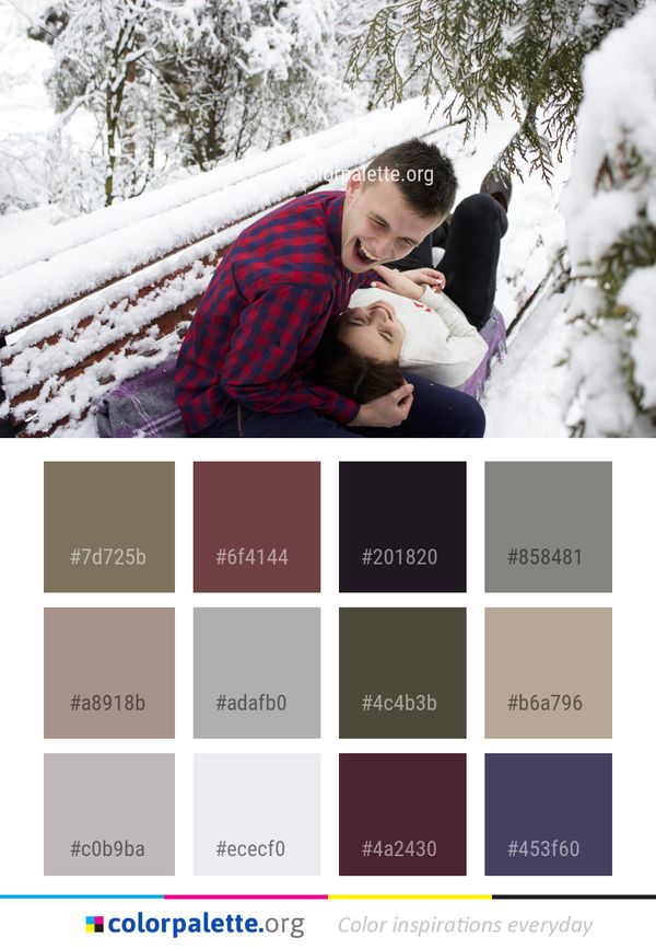 Winter Photograph Snow Color Palette