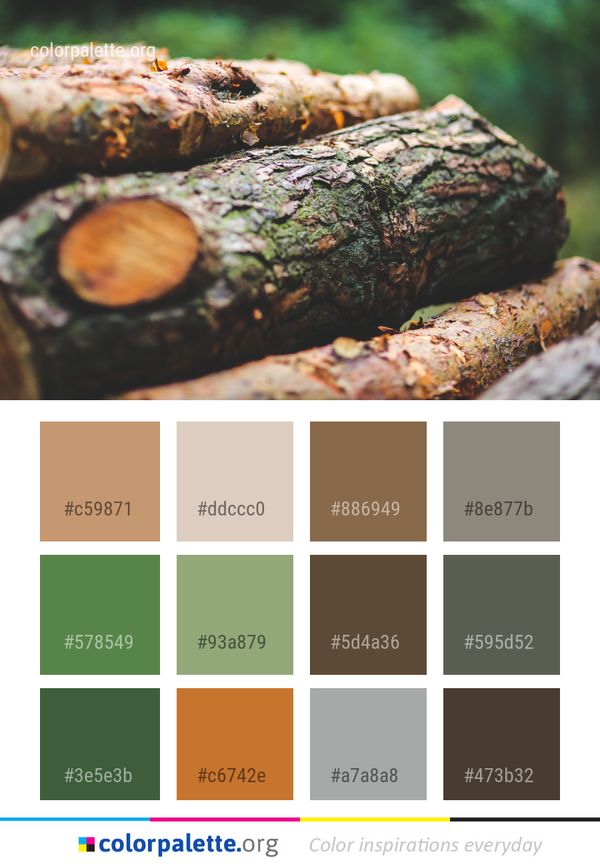 Wood Tree Trunk Color Palette
