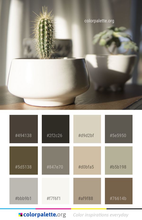 Cactus Flowerpot Plant Color Palette