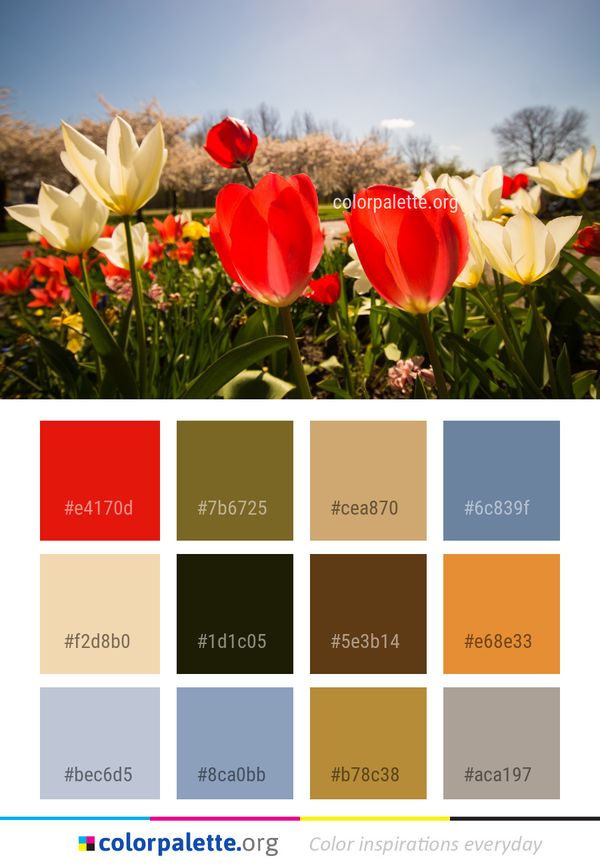 Flower Plant Flowering Color Palette