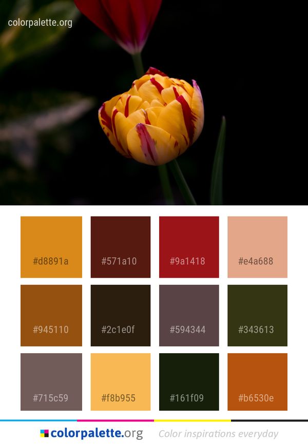 Flower Plant Yellow Color Palette