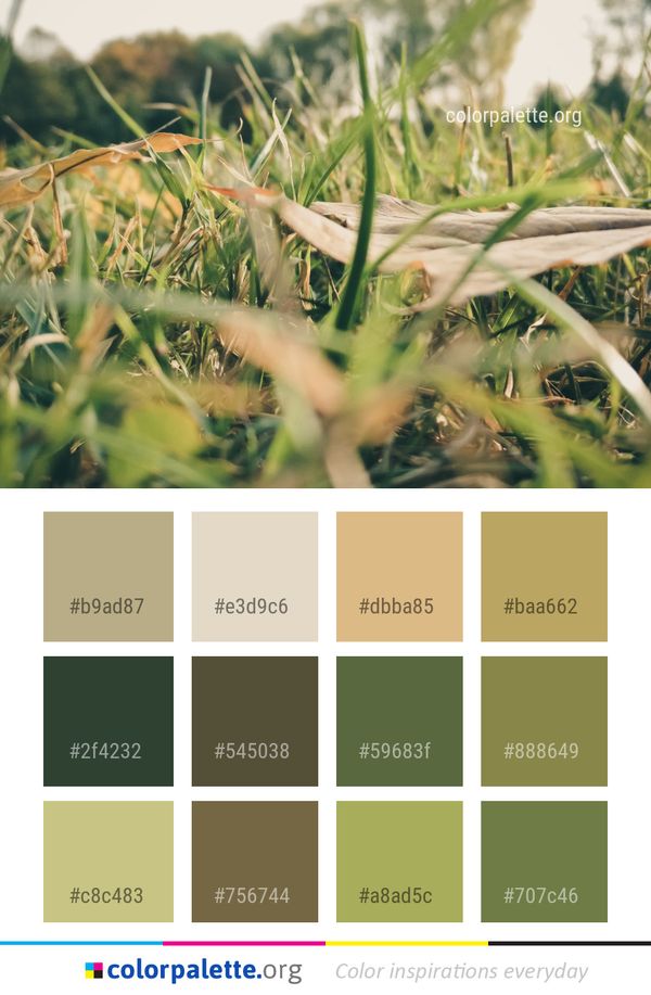 Grass Family Crop Color Palette
