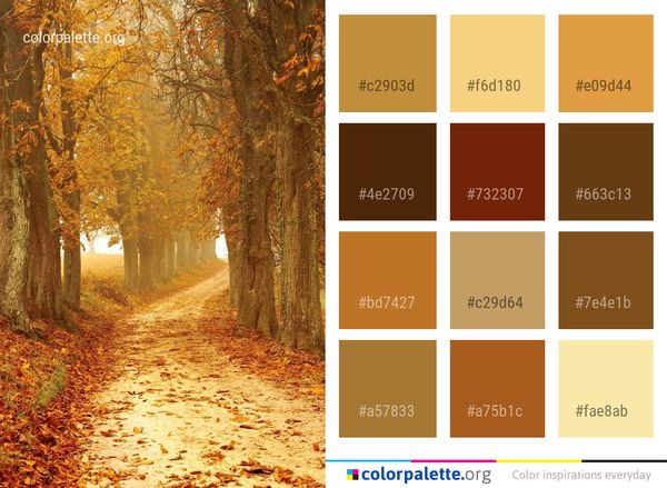 Nature Autumn Woodland Color Palette
