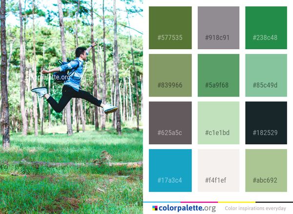 Nature Tree Green Color Palette