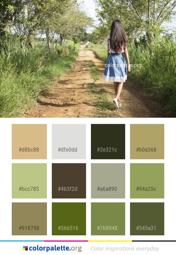 Path Nature Tree Color Palette