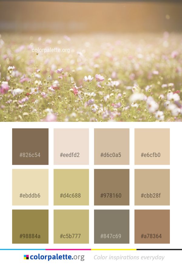 Pink Flower Blossom Color Palette