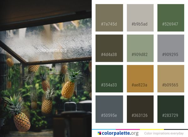 Plant Flora Sunlight Color Palette