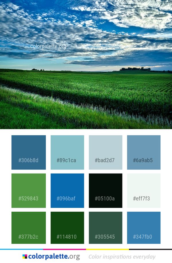 Sky Grassland Field Color Palette