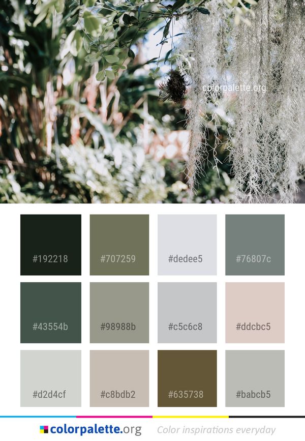 Tree Flora Leaf Color Palette
