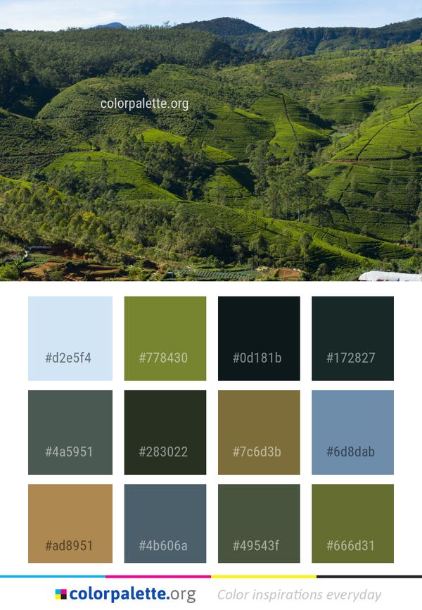 Vegetation Highland Nature Color Palette