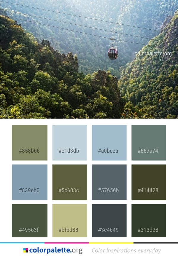 Vegetation Hill Station Forest Color Palette