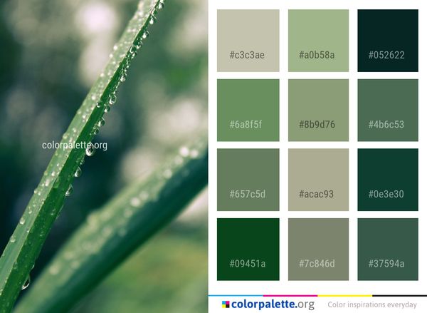 Water Dew Green Color Palette
