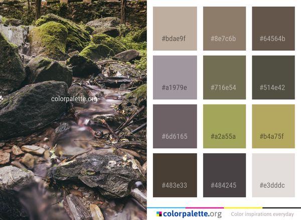 Water Nature Stream Color Palette