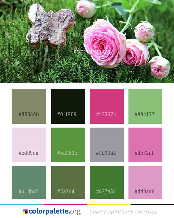Flower Pink Plant Color Palette