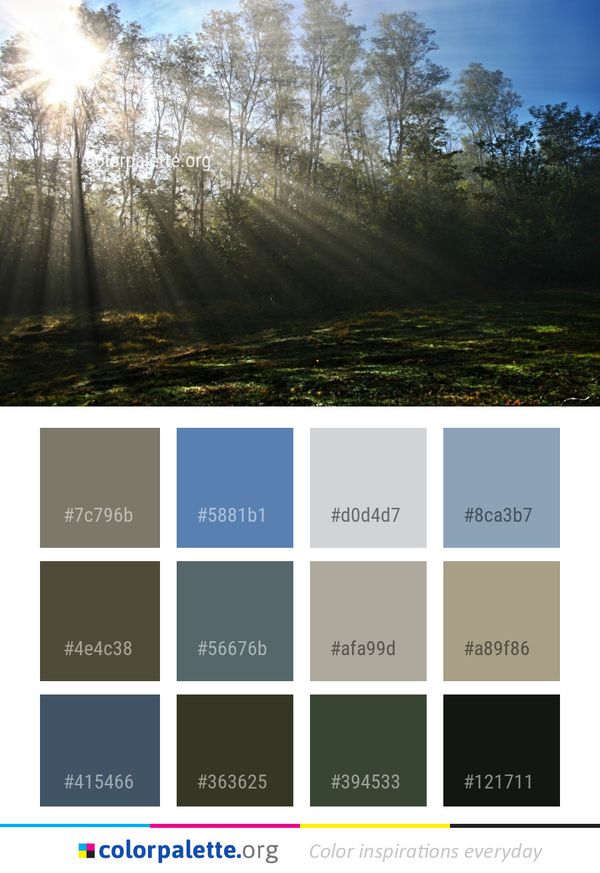 Nature Ecosystem Sky Color Palette