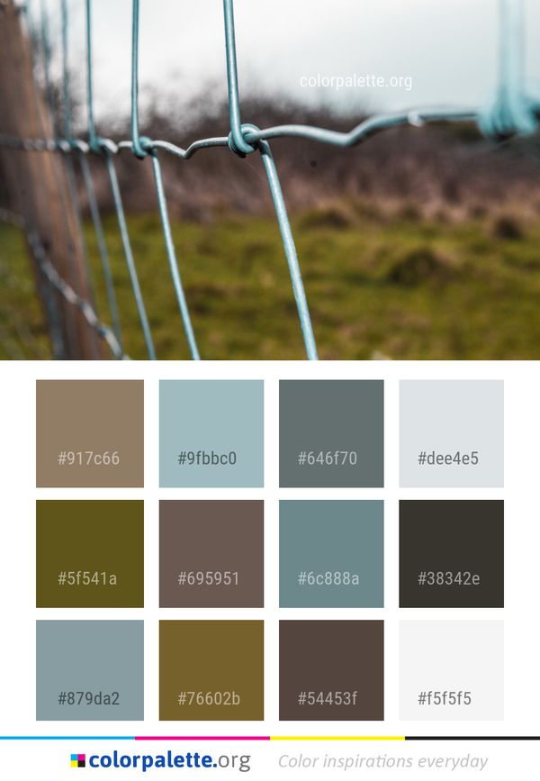 Wire Fencing Tree Grass Color Palette