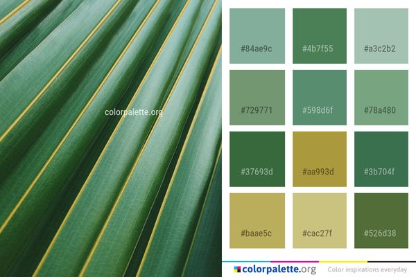 Green Leaf Grass Color Palette