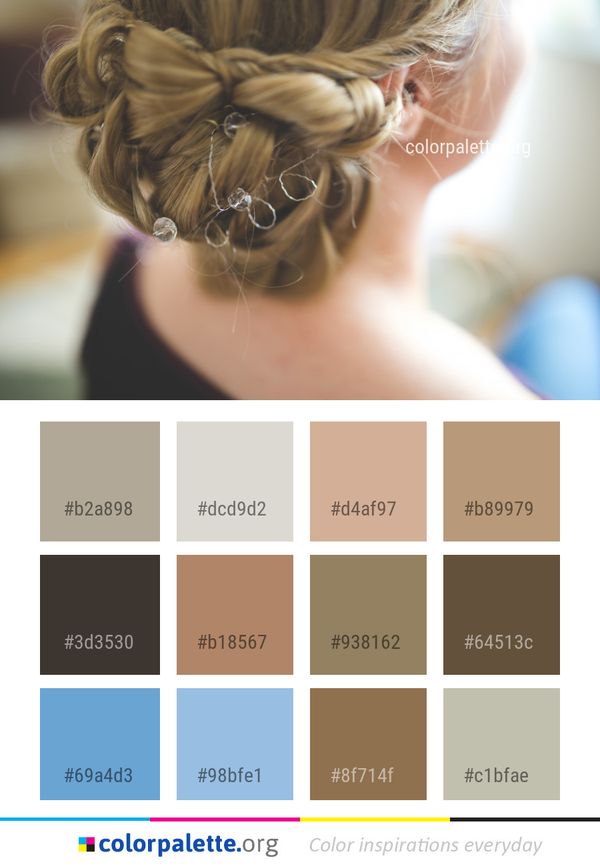 Hair Hairstyle Bun Color Palette