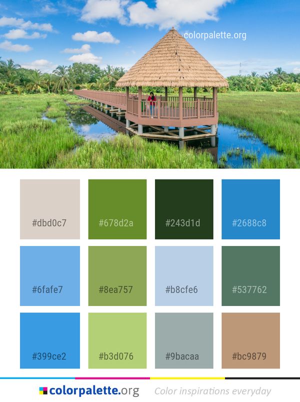 Nature Reserve Sky Grassland Color Palette