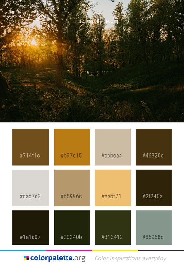 Nature Woodland Forest Color Palette