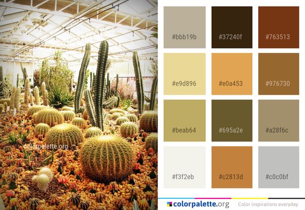 Plant Cactus Hedgehog Color Palette