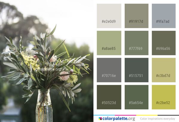 Plant Flower Flora Color Palette
