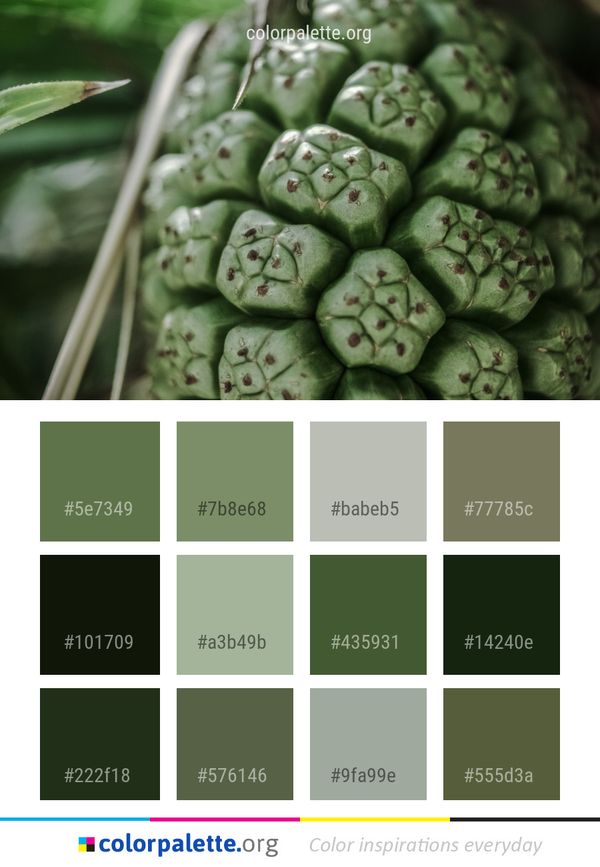Plant Produce Color Palette