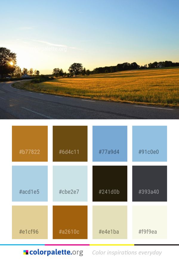 Road Sky Field Color Palette