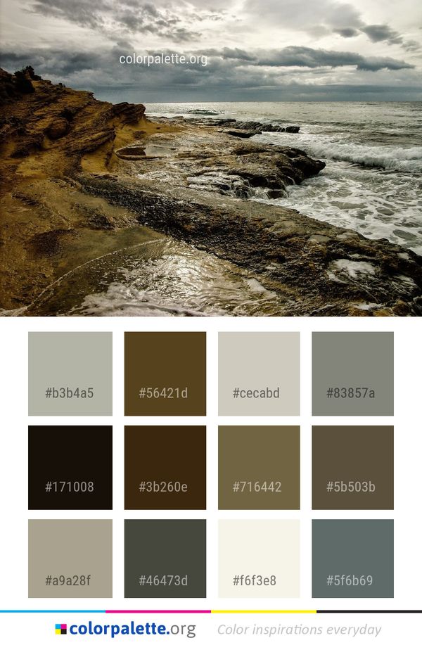 Sea Coast Body Of Water Color Palette