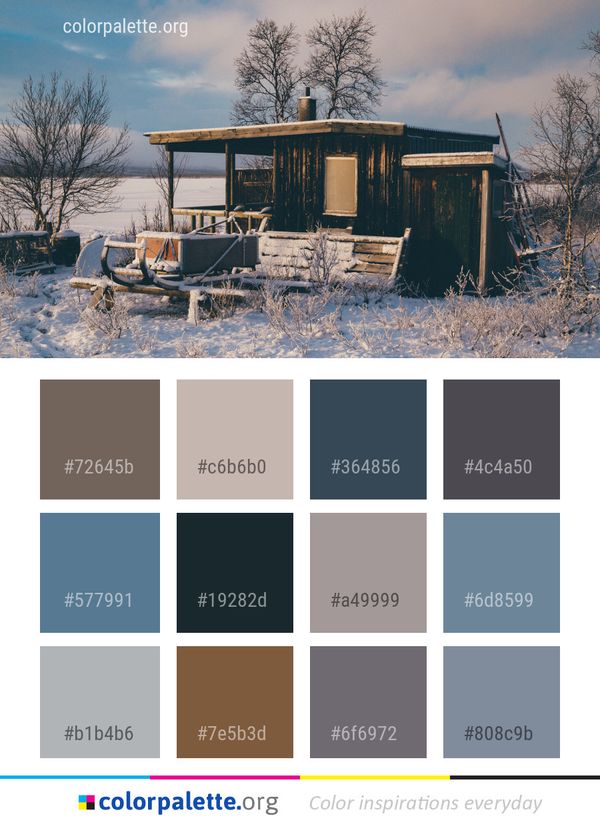 Snow Winter House Color Palette